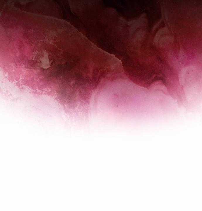 Người Chơi Mới Cấp Tối Đa - Chapter 233 - Trang 161