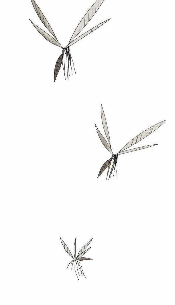 Người Côn Trùng - Chapter 1 - Trang 20