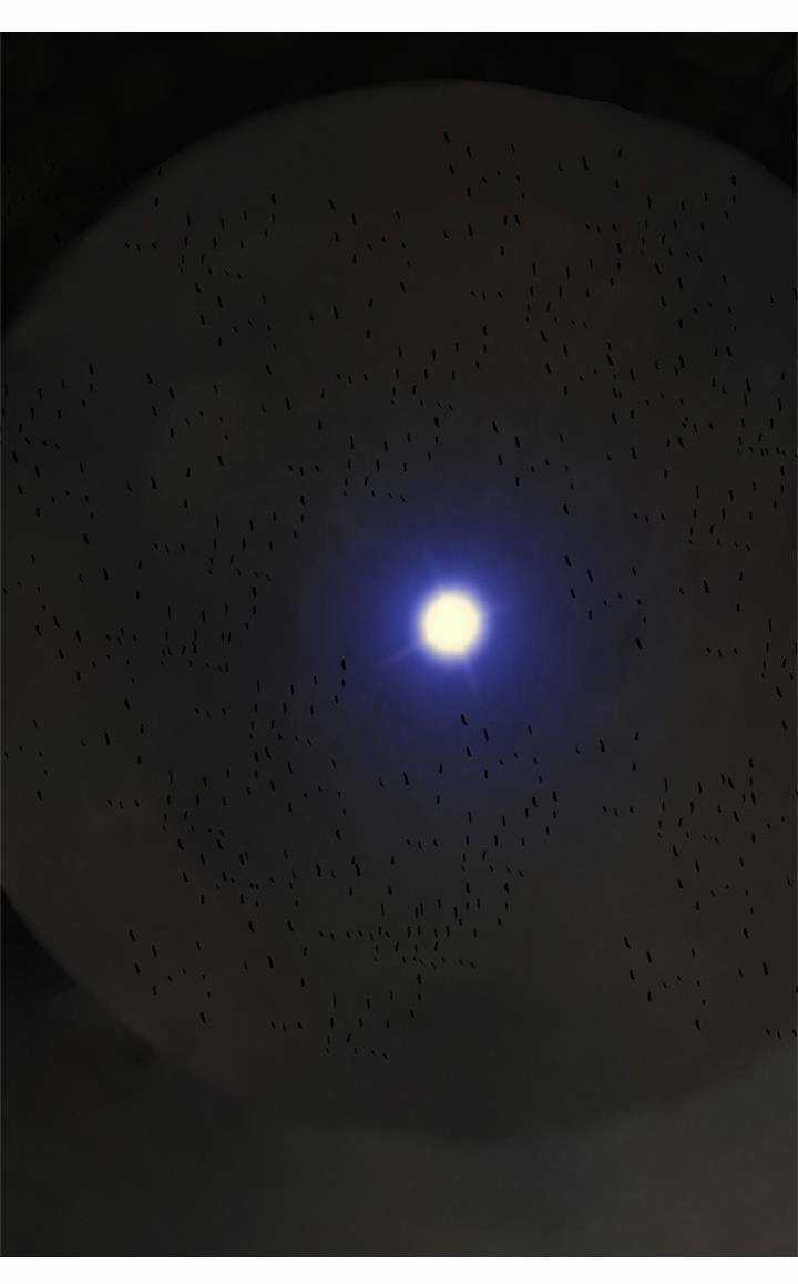 Người Cống Hiến - Chapter 37 - Trang 31