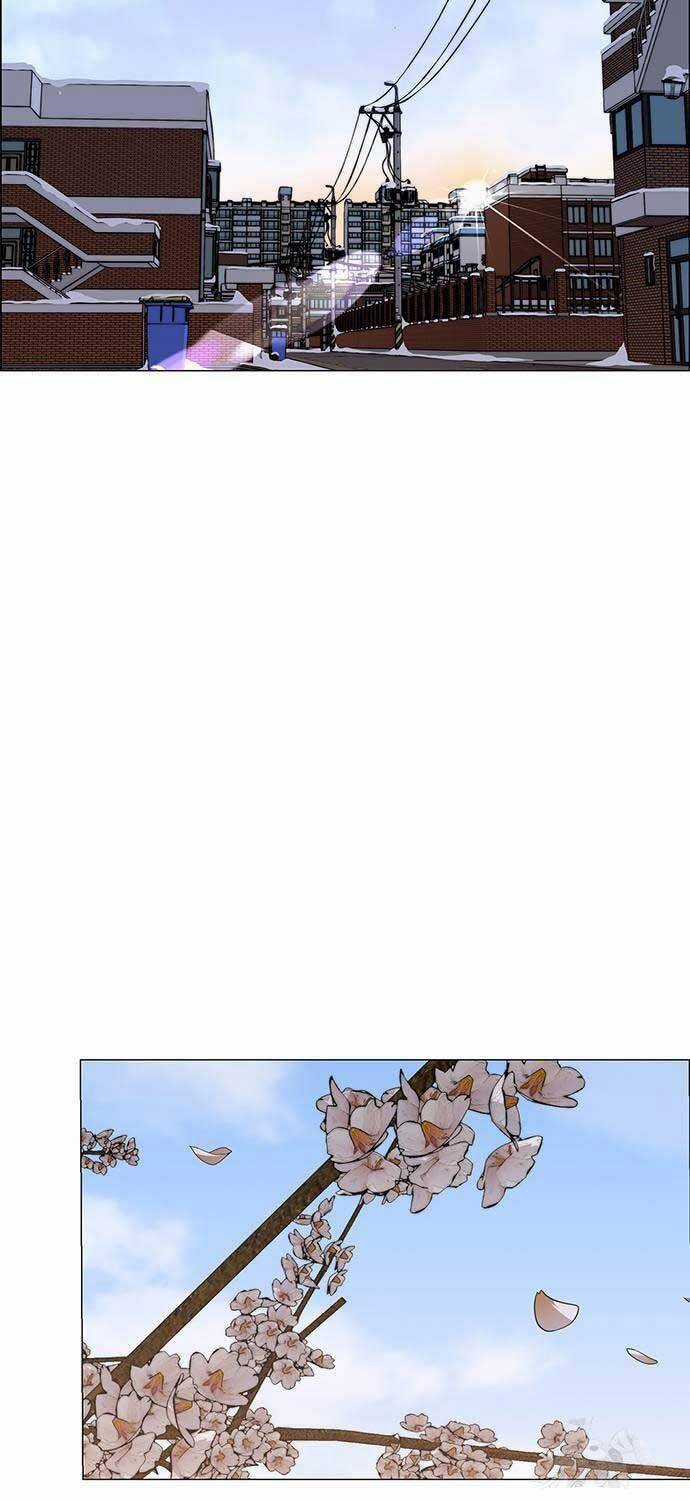 Người Đàn Ông Thực Thụ - Chapter 206 - Trang 24