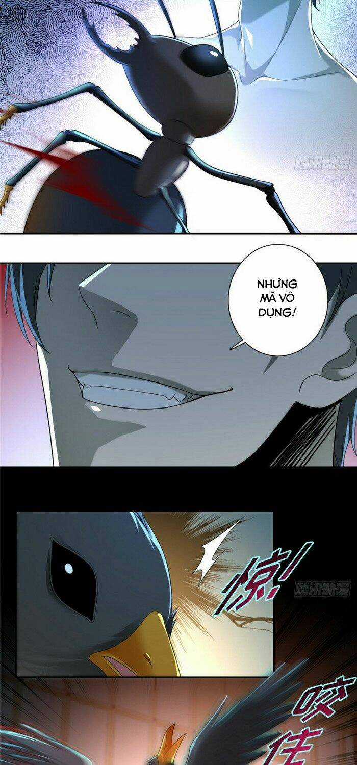 Người Đưa Thư Vô Hạn - Chapter 142 - Trang 3