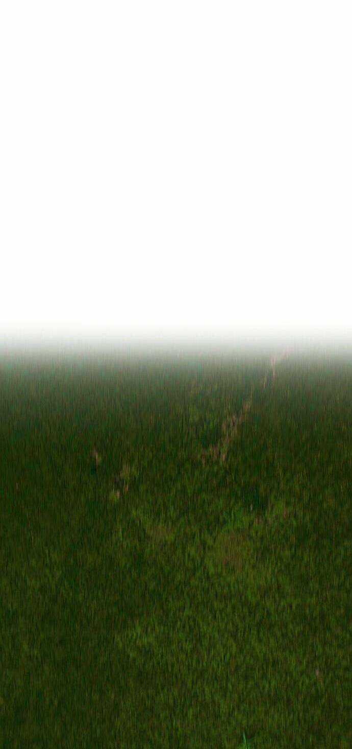 Người Thây Ma - Chapter 55 - Trang 95