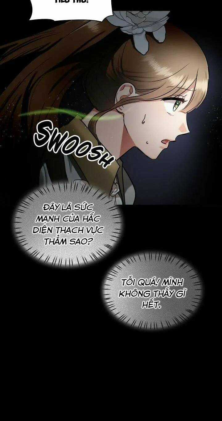 Người Thừa Kế - Chapter 40 - Trang 27