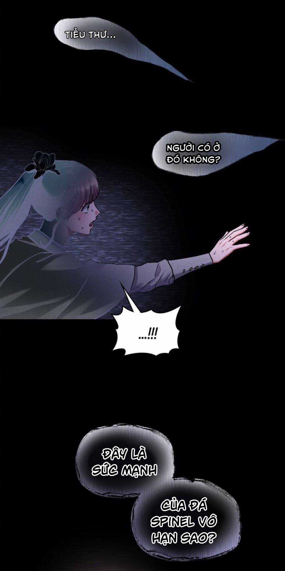 Người Thừa Kế - Chapter 41 - Trang 4