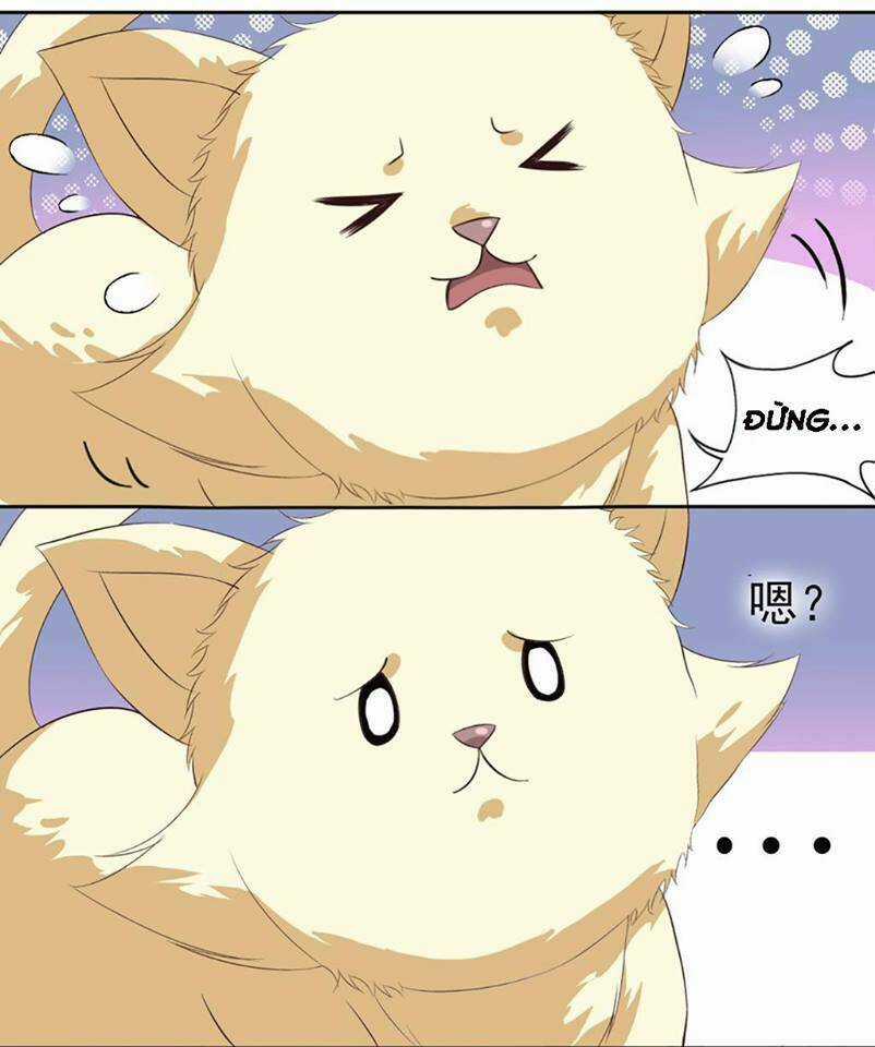 Nguyệt Ẩn Thần - Chapter 13 - Trang 11