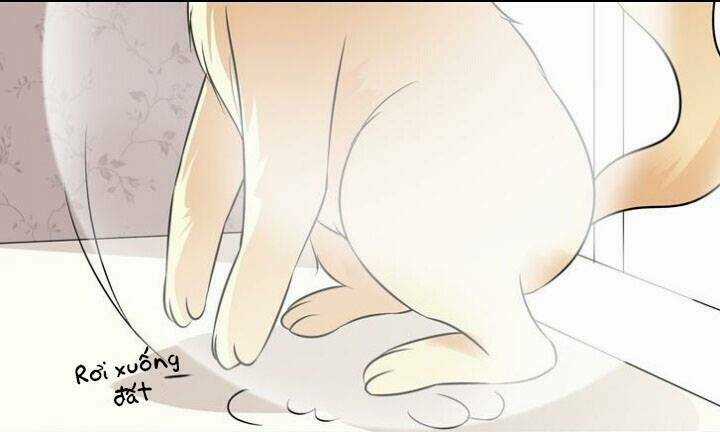 Nguyệt Ẩn Thần - Chapter 3 - Trang 24