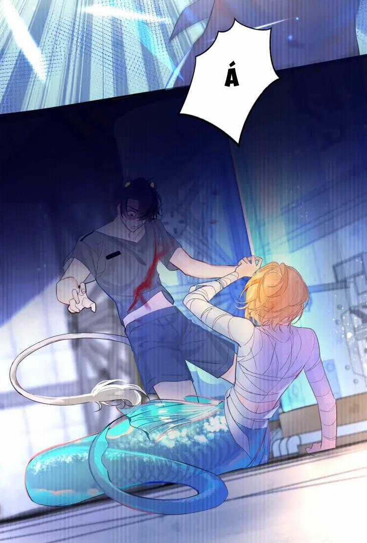 Nhân Ngư Sa Ngã - Chapter 1 - Trang 25