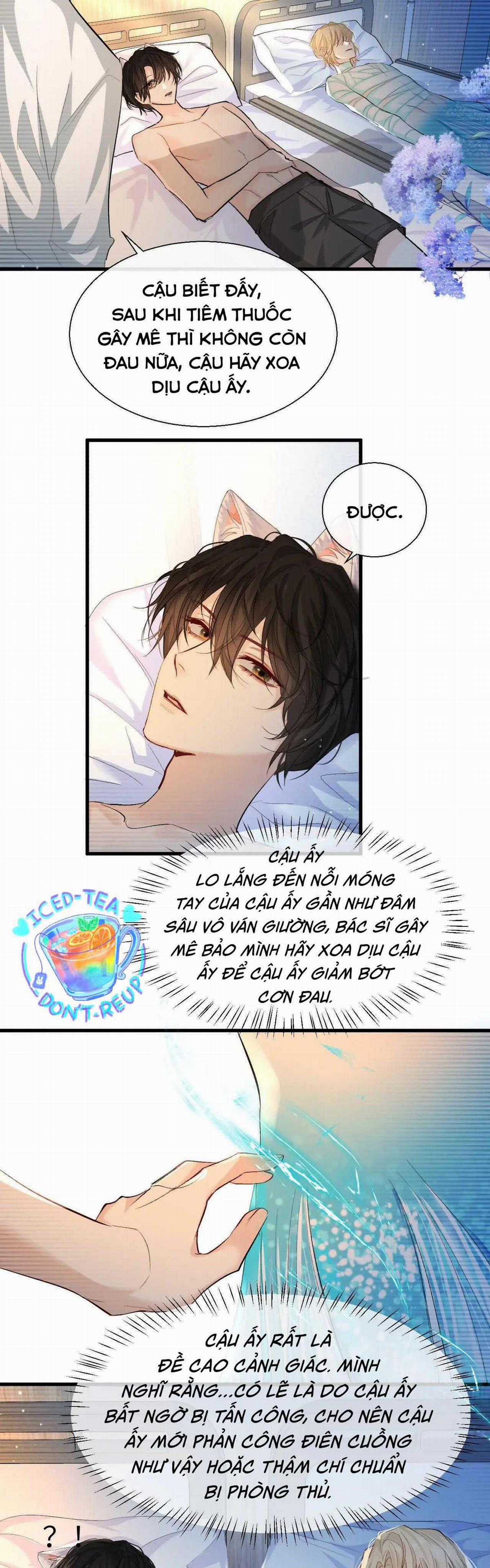 Nhân Ngư Sa Ngã - Chapter 15 - Trang 3