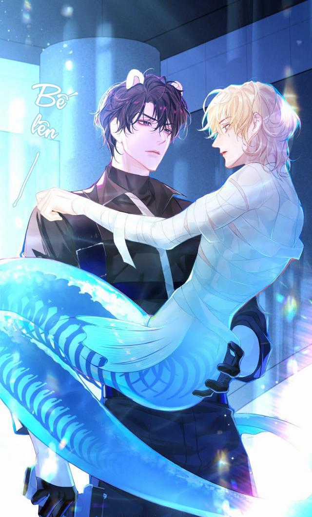 Nhân Ngư Sa Ngã - Chapter 2 - Trang 5