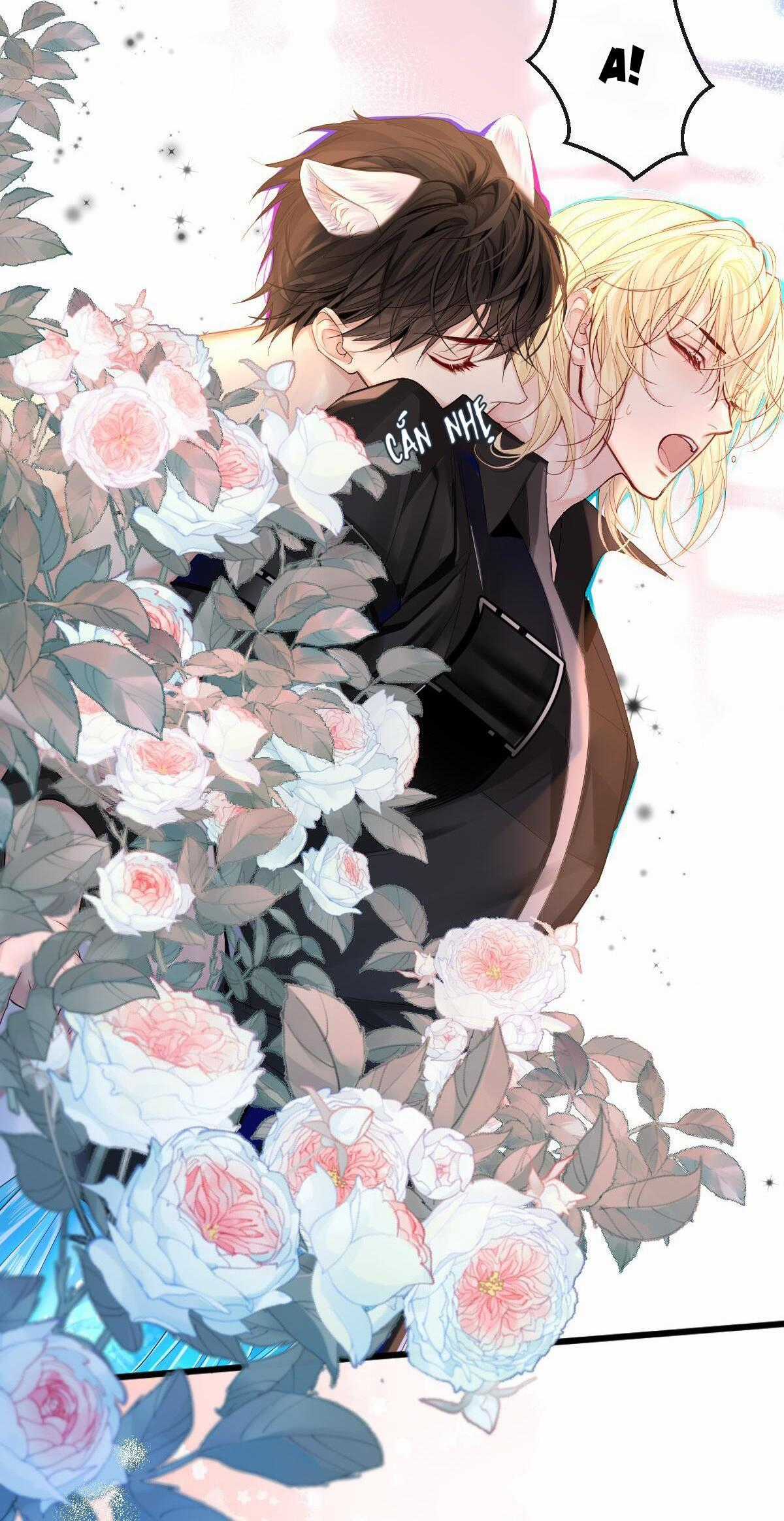 Nhân Ngư Sa Ngã - Chapter 28 - Trang 4