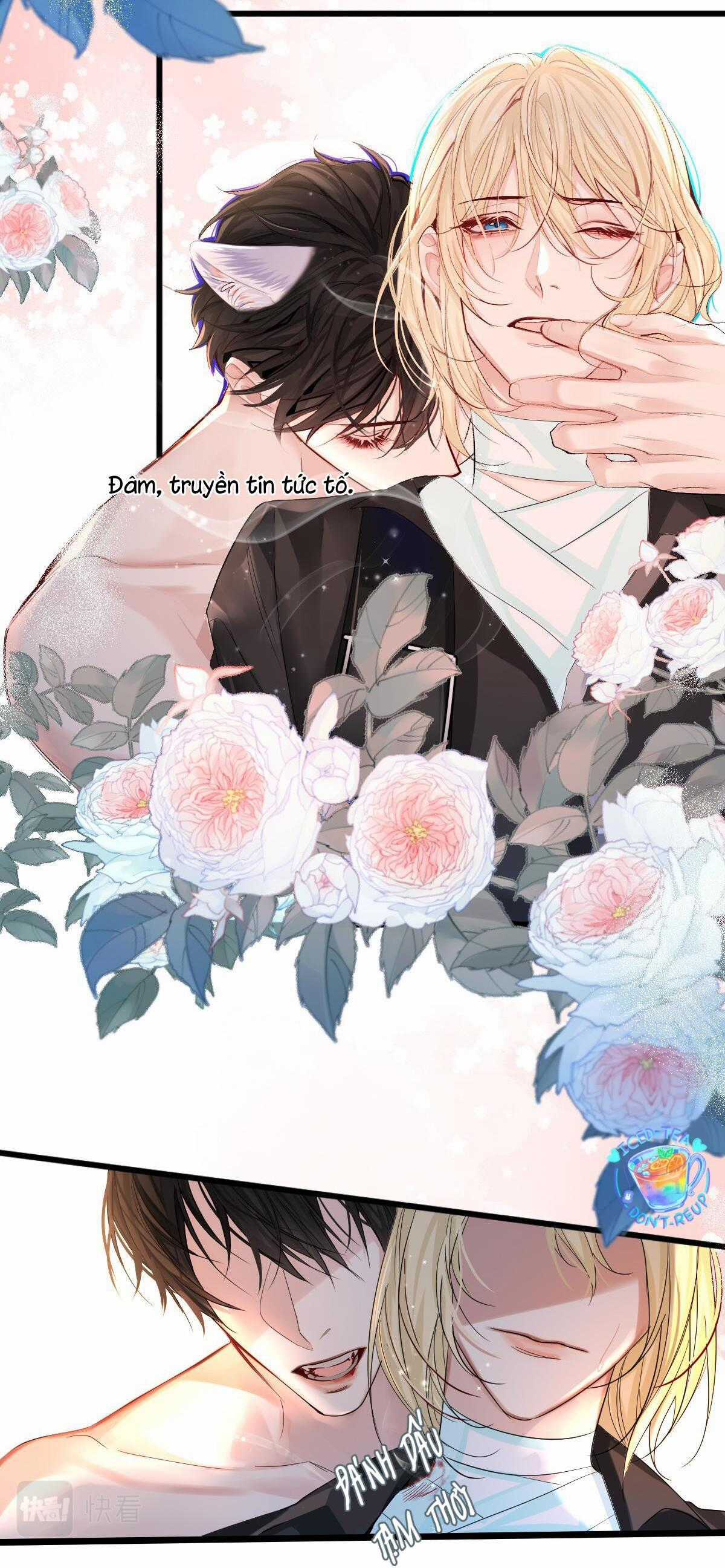 Nhân Ngư Sa Ngã - Chapter 28 - Trang 5