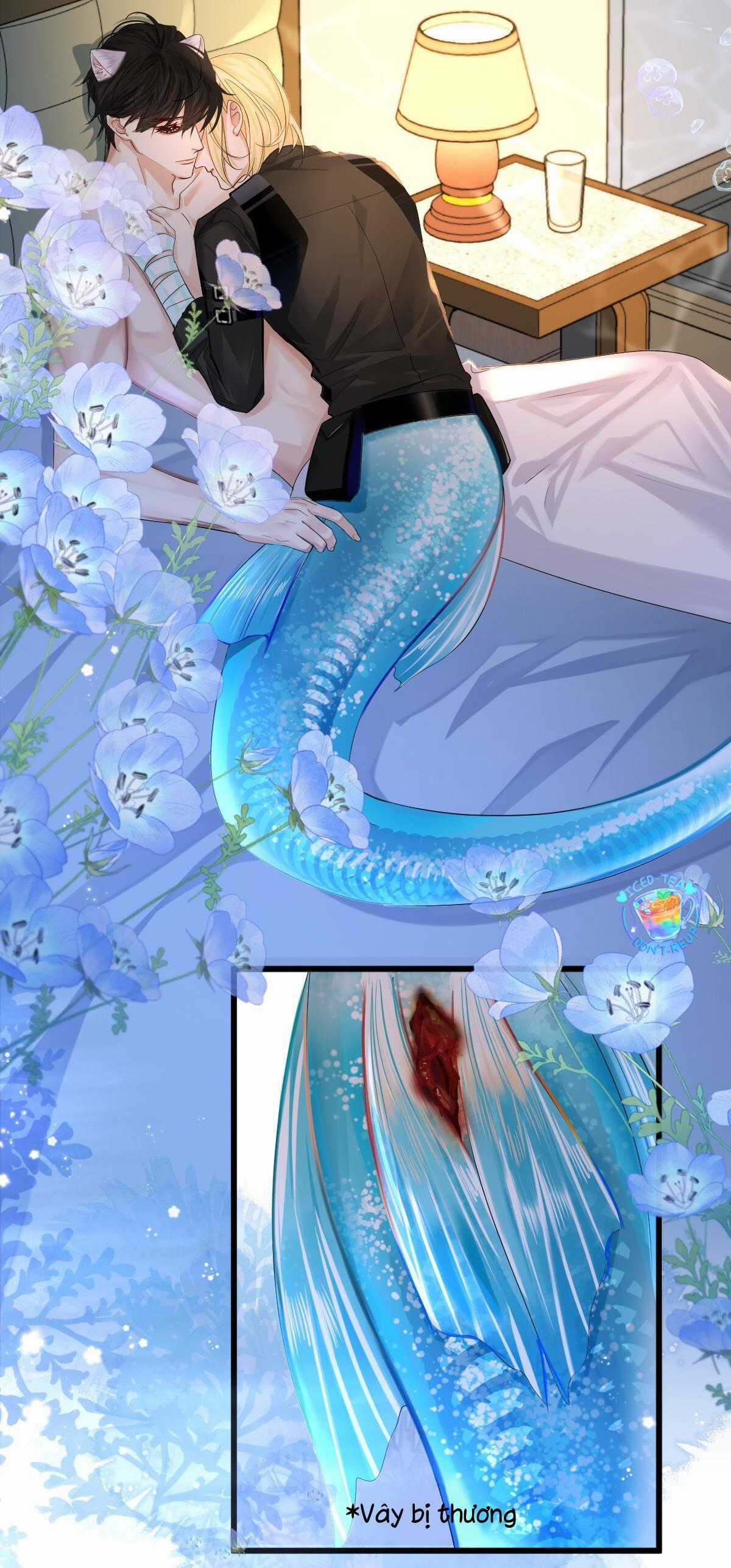 Nhân Ngư Sa Ngã - Chapter 28 - Trang 8