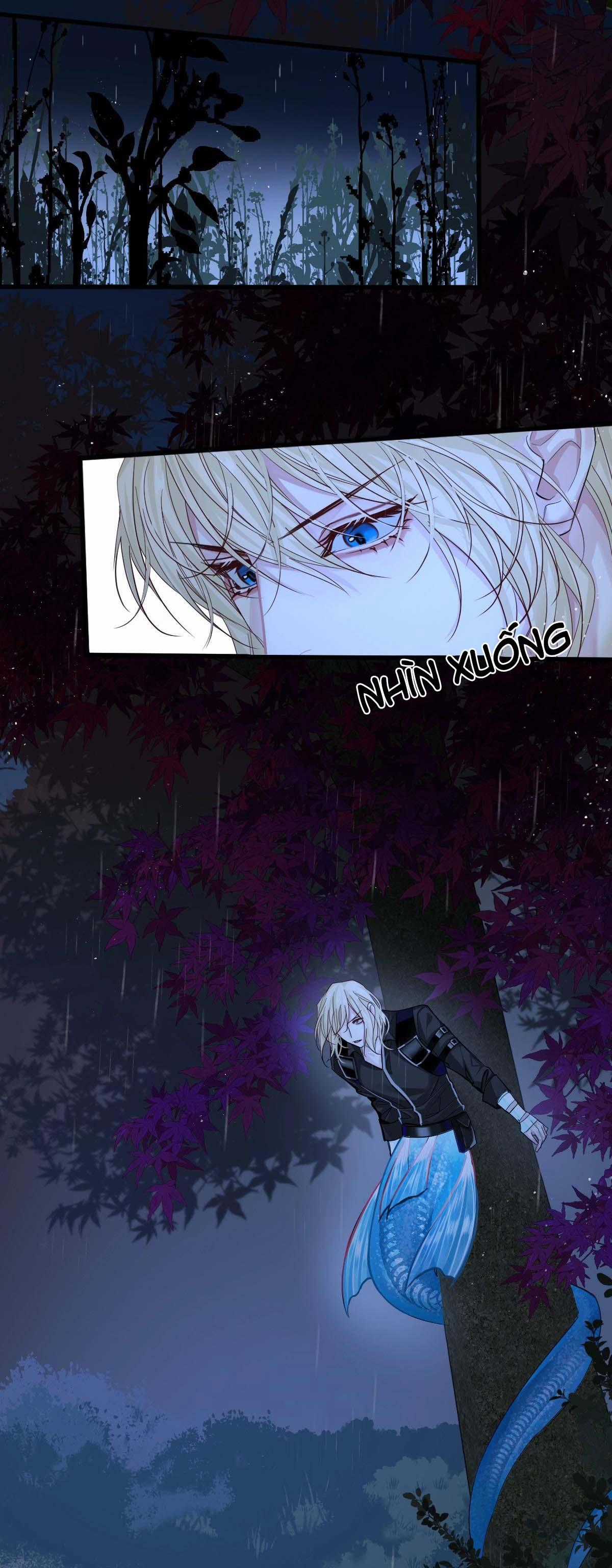 Nhân Ngư Sa Ngã - Chapter 29 - Trang 5