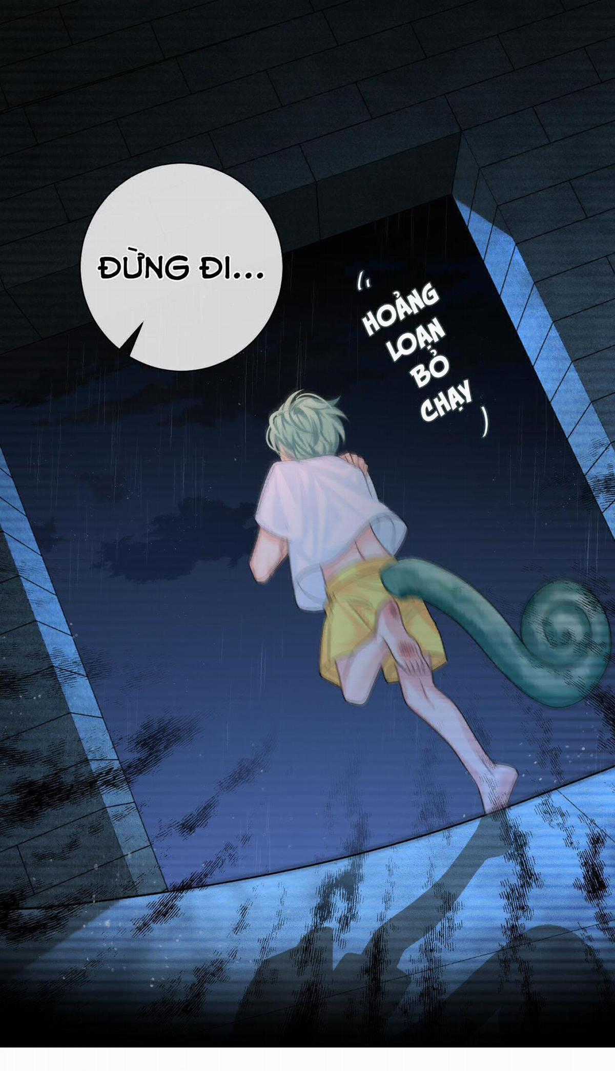 Nhân Ngư Sa Ngã - Chapter 39 - Trang 45