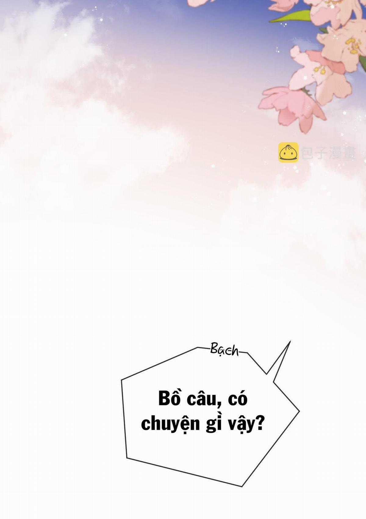 Nhân Ngư Sa Ngã - Chapter 43 - Trang 5