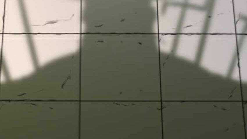 Nhập Hồn Ma Đạo Tổ Sư - Chapter 30 - Trang 161