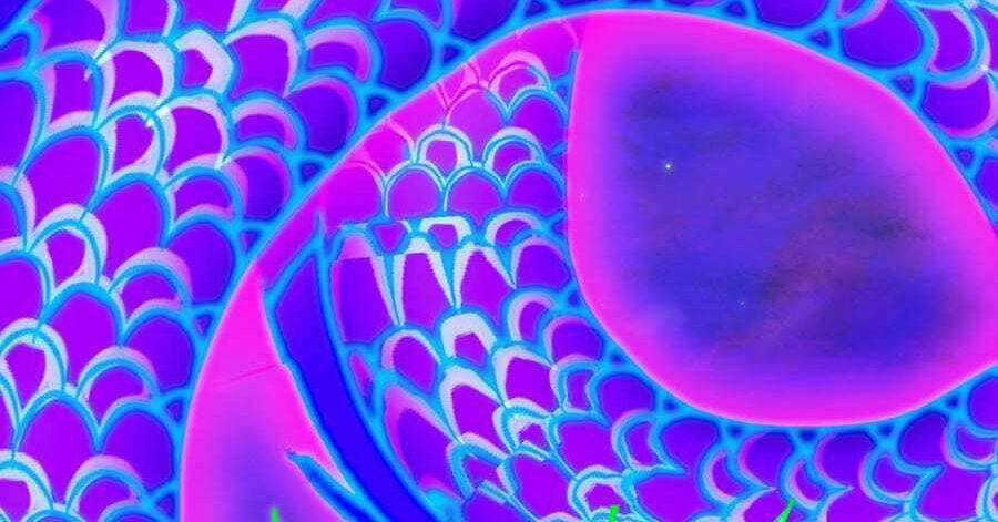 Nhập Hồn Ma Đạo Tổ Sư - Chapter 32 - Trang 12