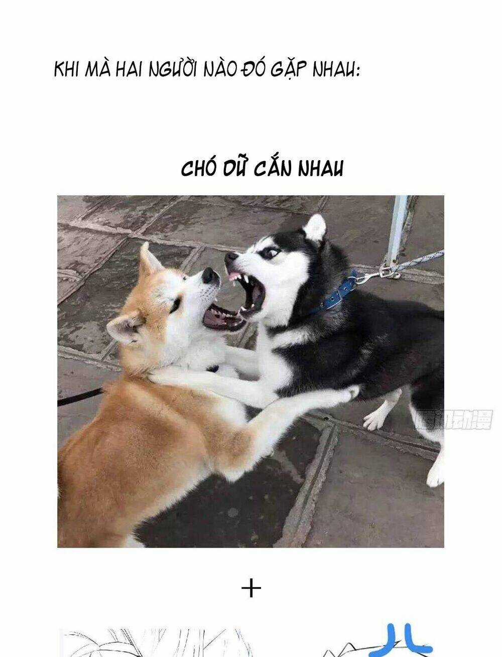 Nhập Mạc Chi Thần - Chapter 56 - Trang 66