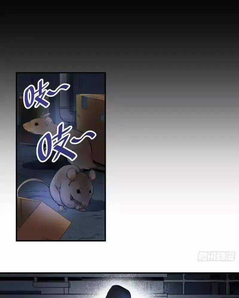 Nhất Ăn Tất - Chapter 3 - Trang 24