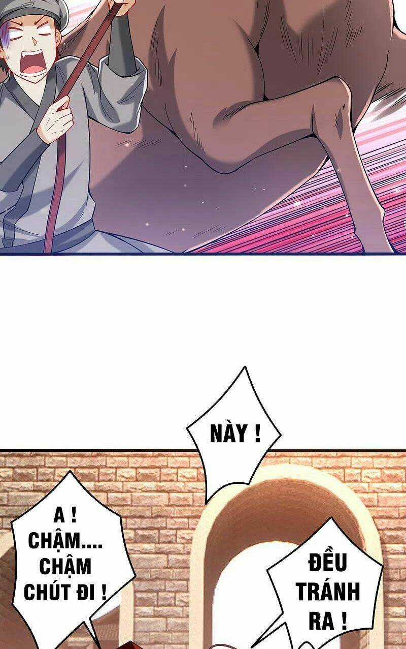 Nhất Đẳng Gia Đinh - Chapter 245 - Trang 24