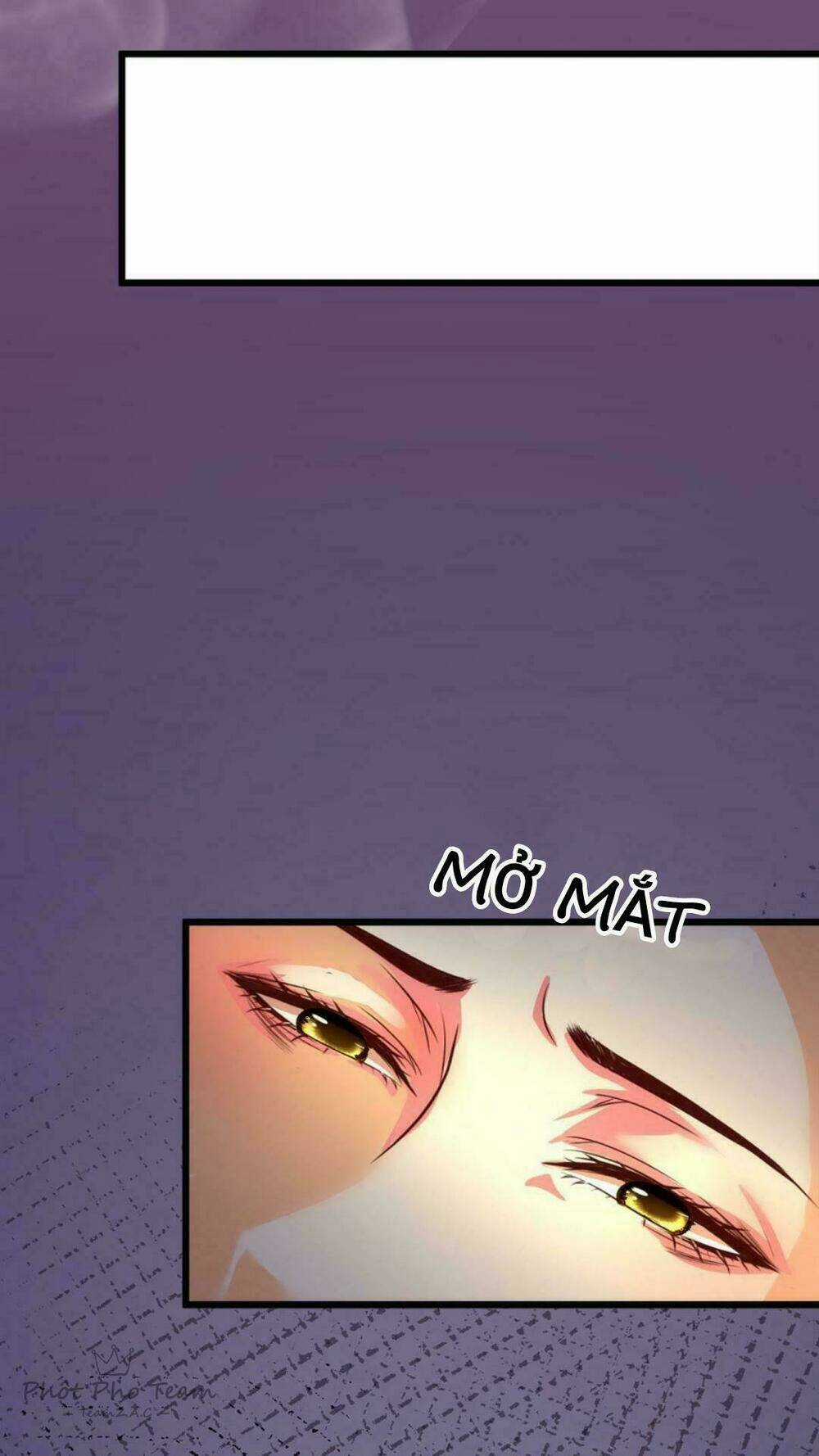 Nhất Đỉnh Vương Phi - Chapter 1 - Trang 12