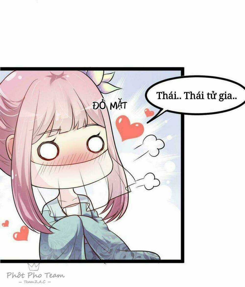 Nhất Đỉnh Vương Phi - Chapter 8 - Trang 13