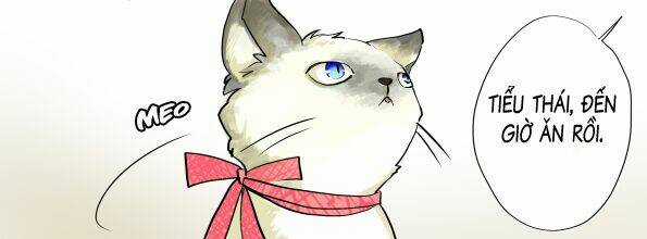 Nhật Ký Đầu Gấu - Chapter 2.1 - Trang 43