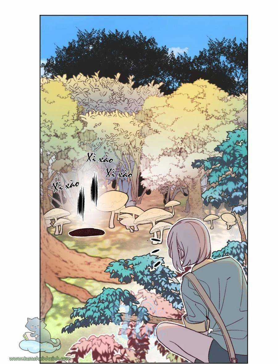 Nhật Ký Nấm Ma Cô - Chapter 13 - Trang 13