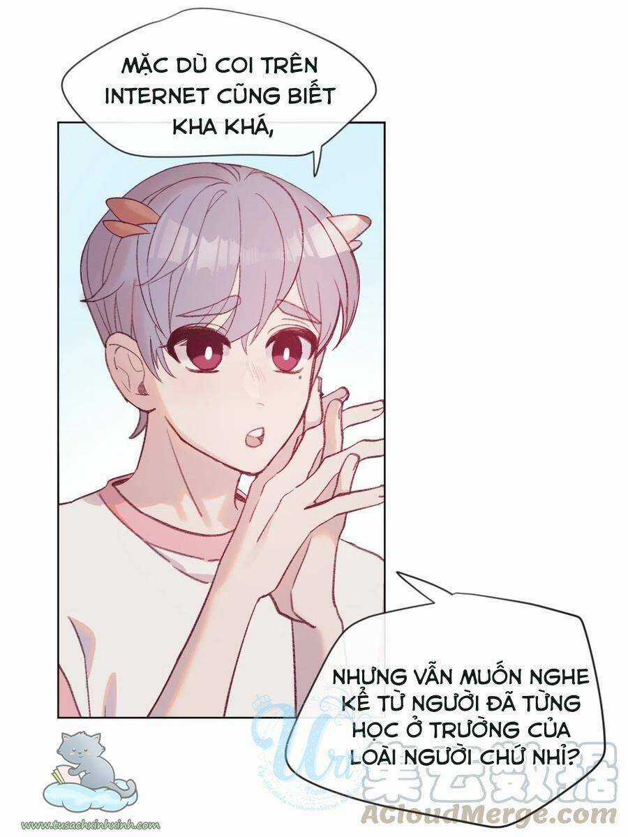 Nhật Ký Nấm Ma Cô - Chapter 13 - Trang 24