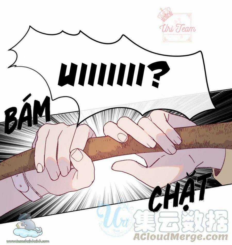 Nhật Ký Nấm Ma Cô - Chapter 13 - Trang 10