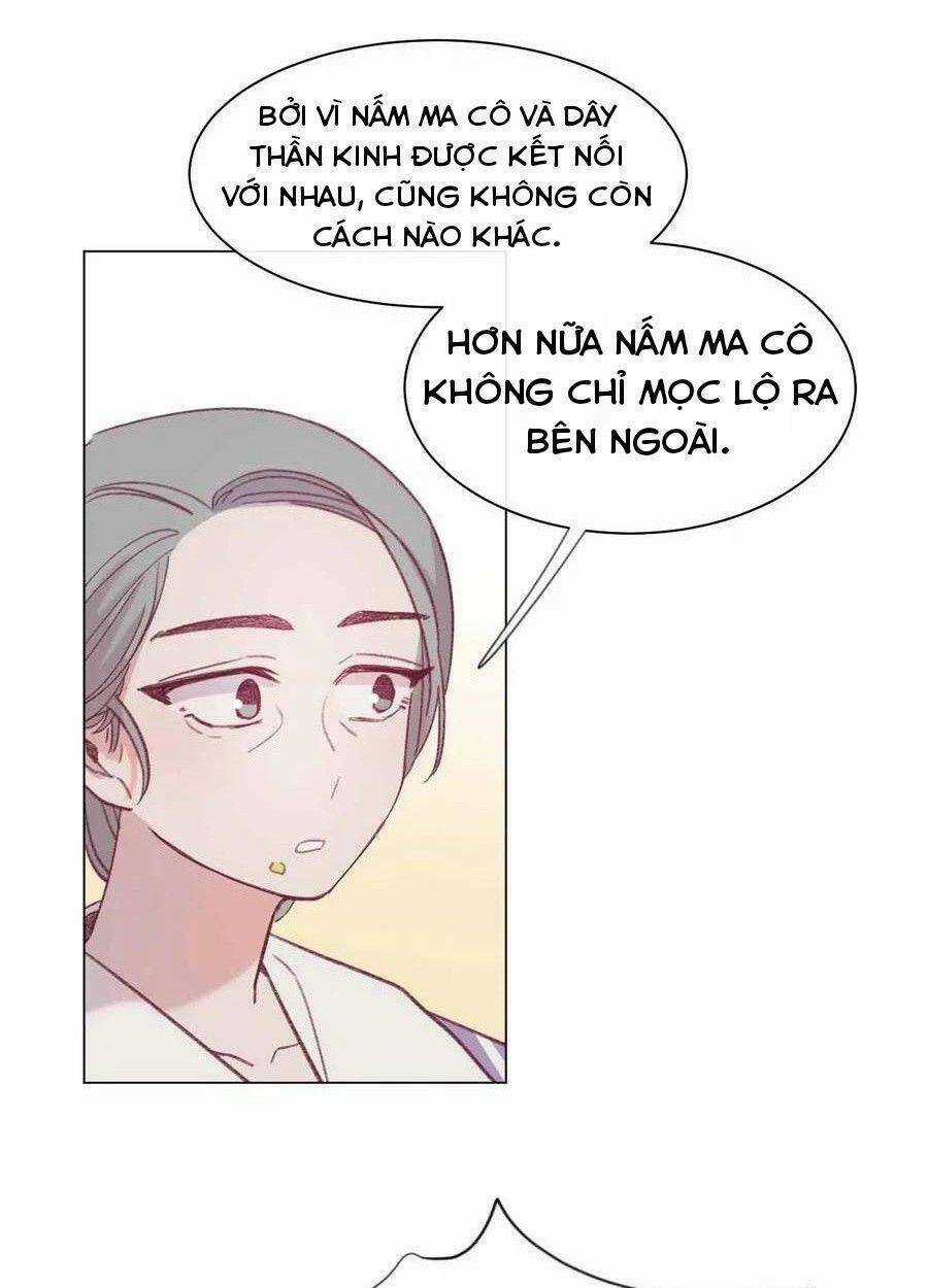 Nhật Ký Nấm Ma Cô - Chapter 23 - Trang 7