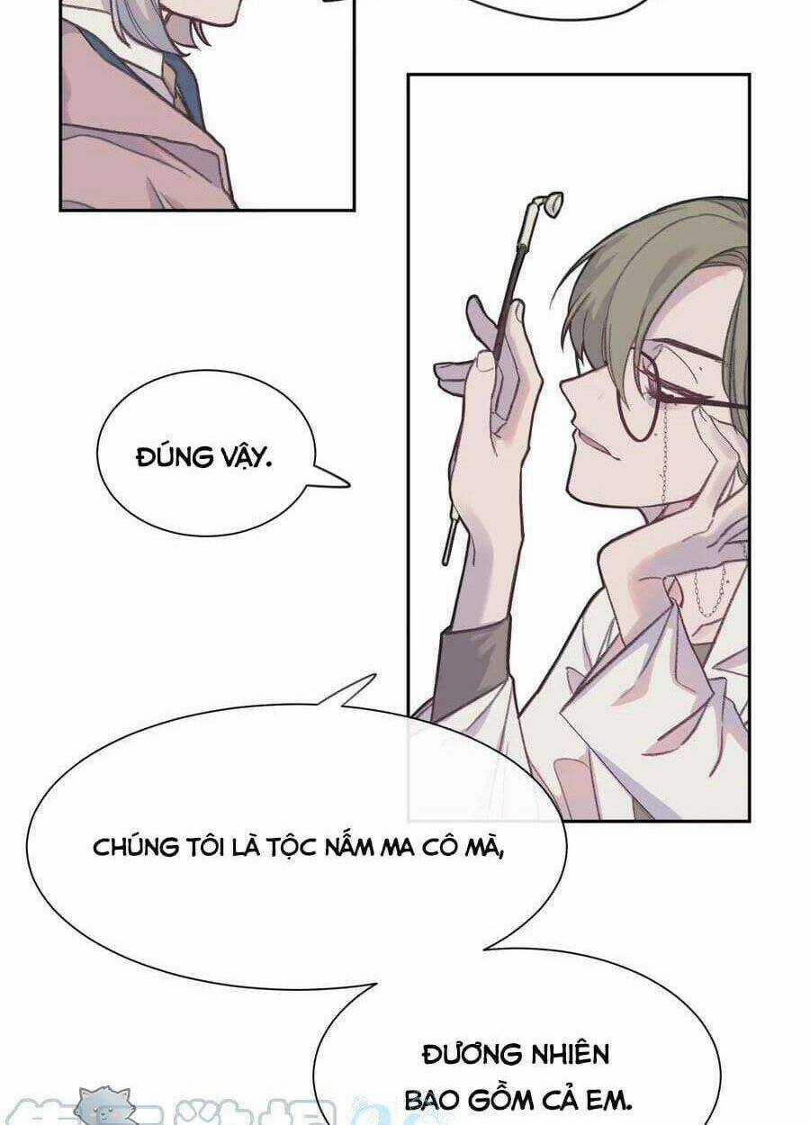 Nhật Ký Nấm Ma Cô - Chapter 3 - Trang 41