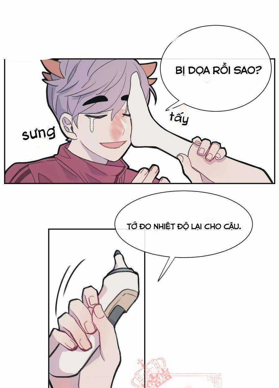 Nhật Ký Nấm Ma Cô - Chapter 3 - Trang 6