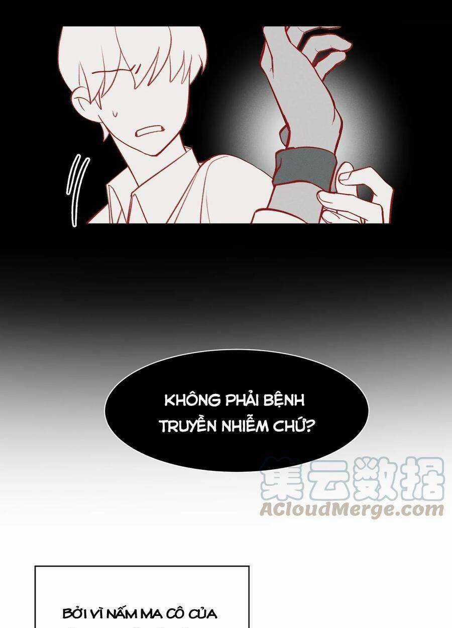 Nhật Ký Nấm Ma Cô - Chapter 4 - Trang 26