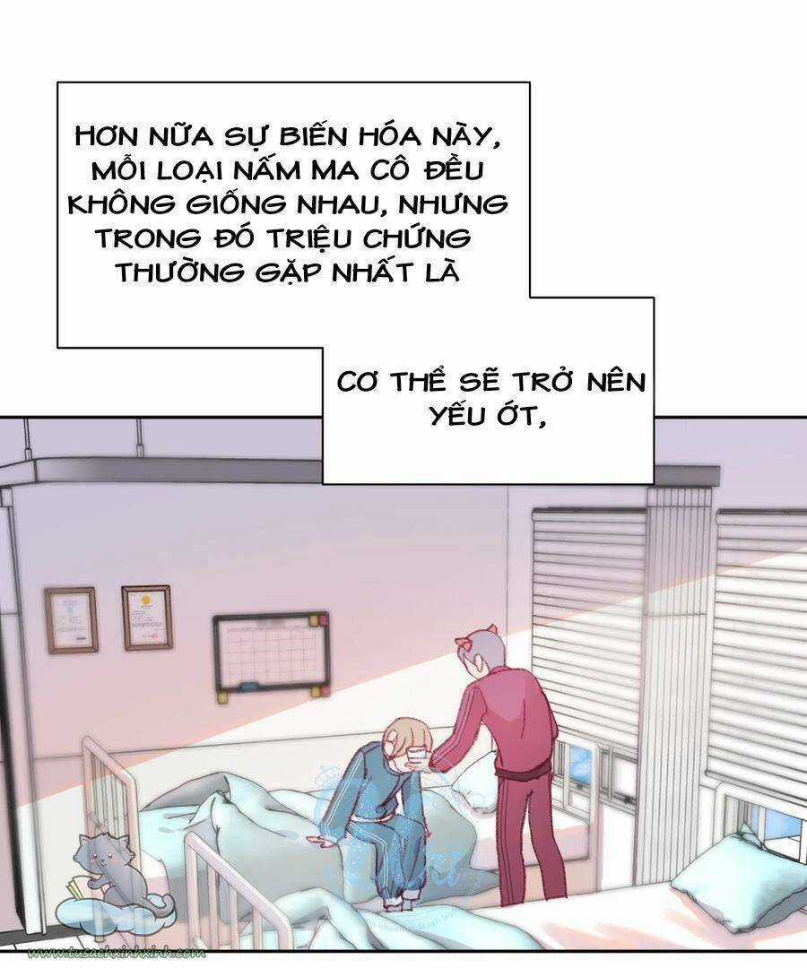 Nhật Ký Nấm Ma Cô - Chapter 8 - Trang 15