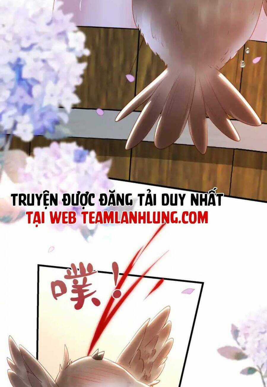 Nhặt Nuôi Phu Quân - Chapter 13 - Trang 24