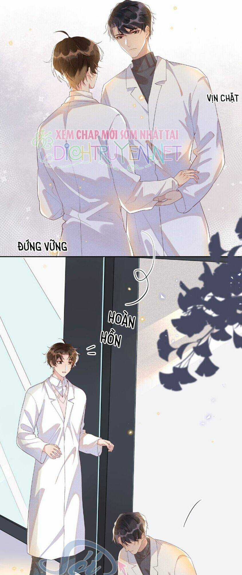 Nhiệt Độ Xã Giao - Chapter 26 - Trang 3