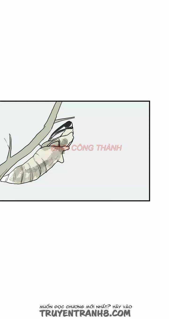 Nhộng - Chapter 1 - Trang 5
