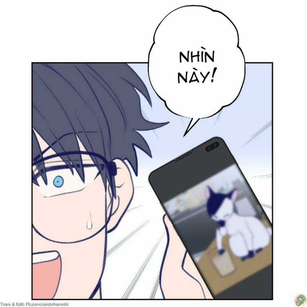 Nice To Meet You - Chapter 16 - Trang 19