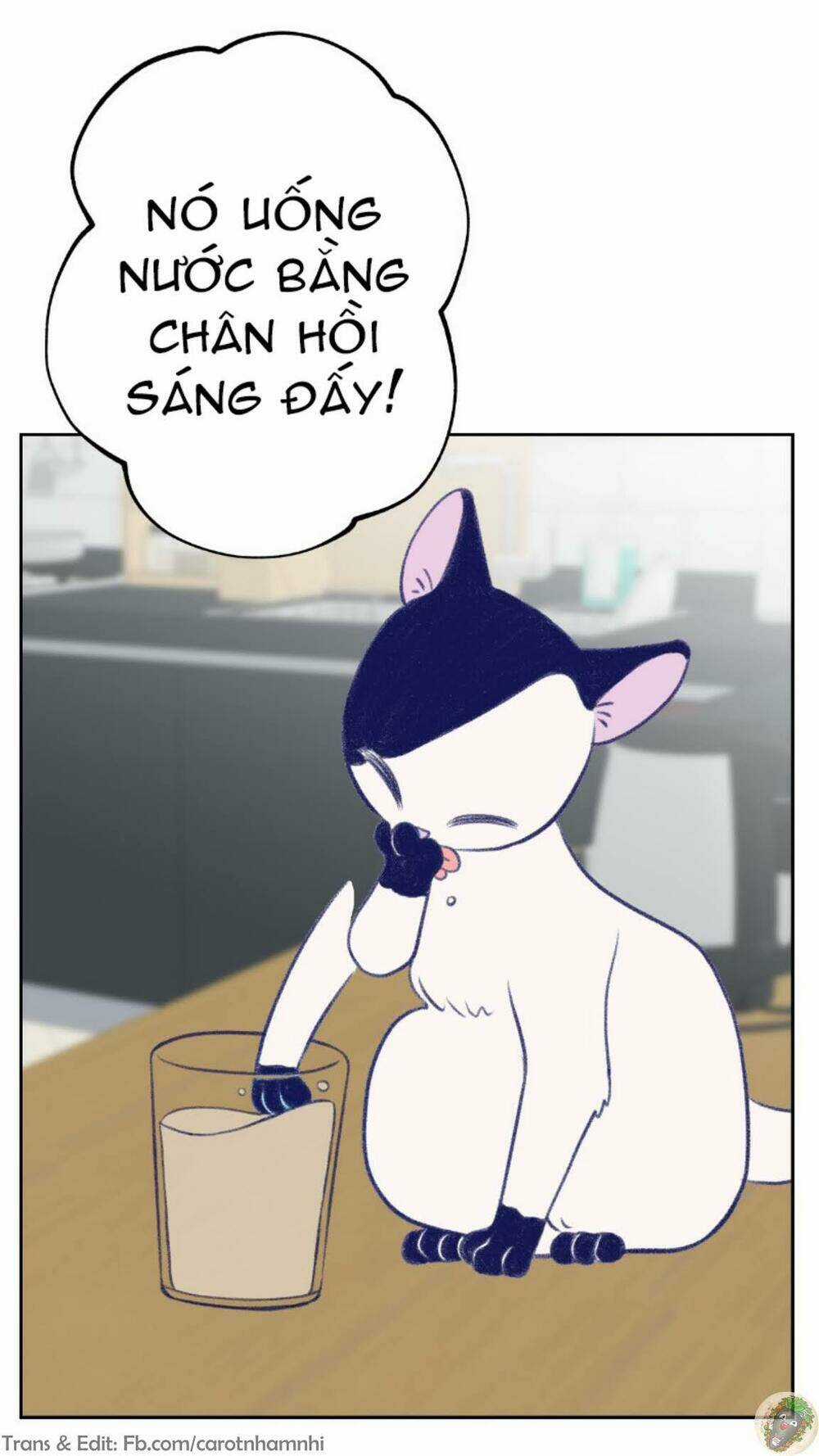 Nice To Meet You - Chapter 16 - Trang 20