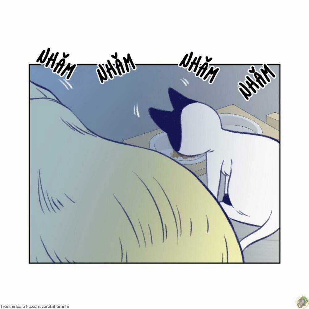 Nice To Meet You - Chapter 18 - Trang 77