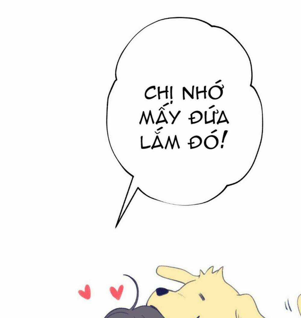 Nice To Meet You - Chapter 20 - Trang 4