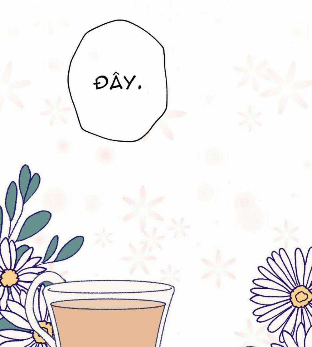 Nice To Meet You - Chapter 20 - Trang 31