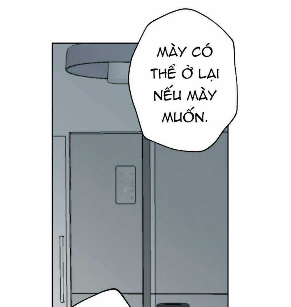 Nice To Meet You - Chapter 29 - Trang 81