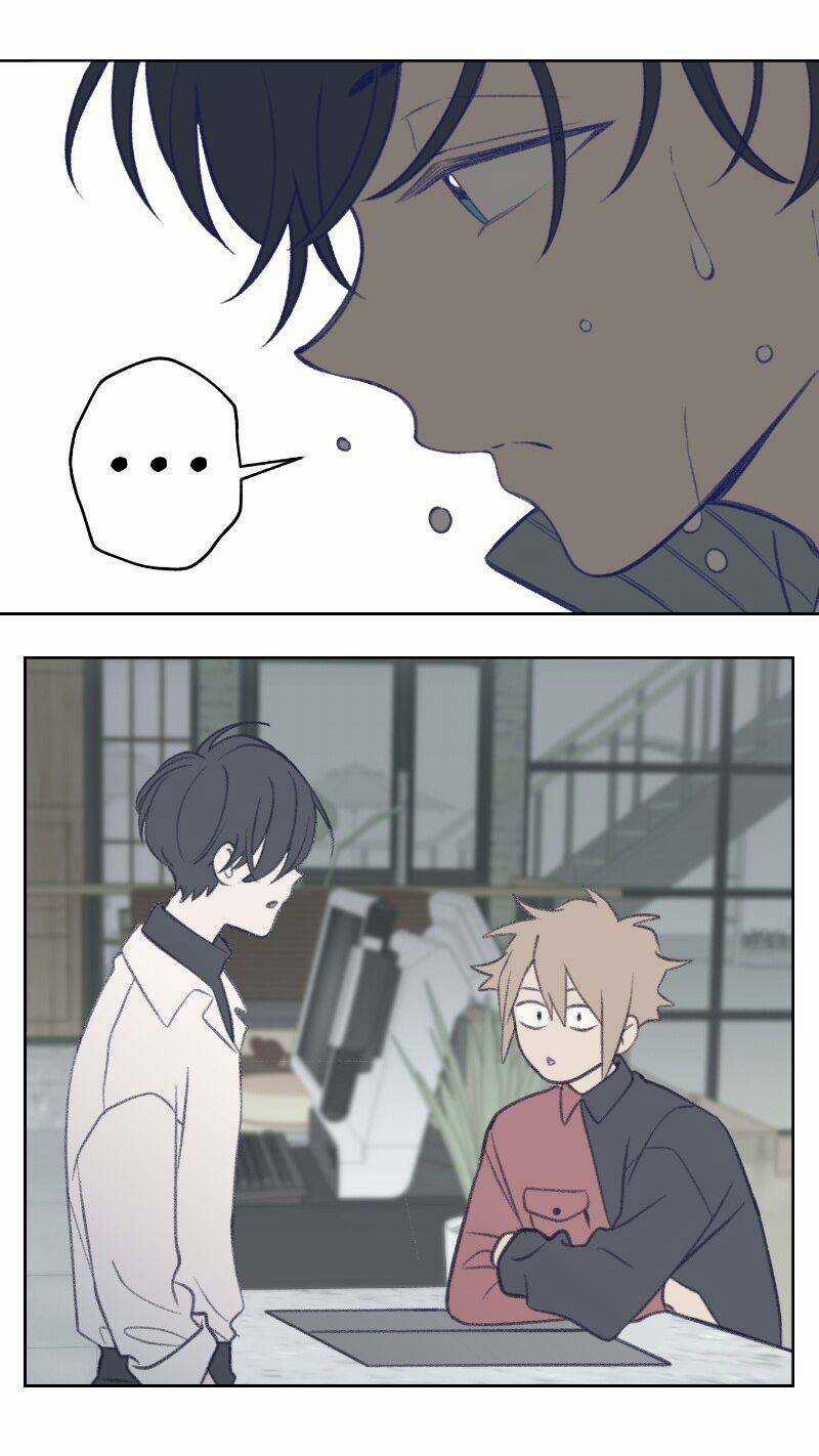 Nice To Meet You - Chapter 33 - Trang 4