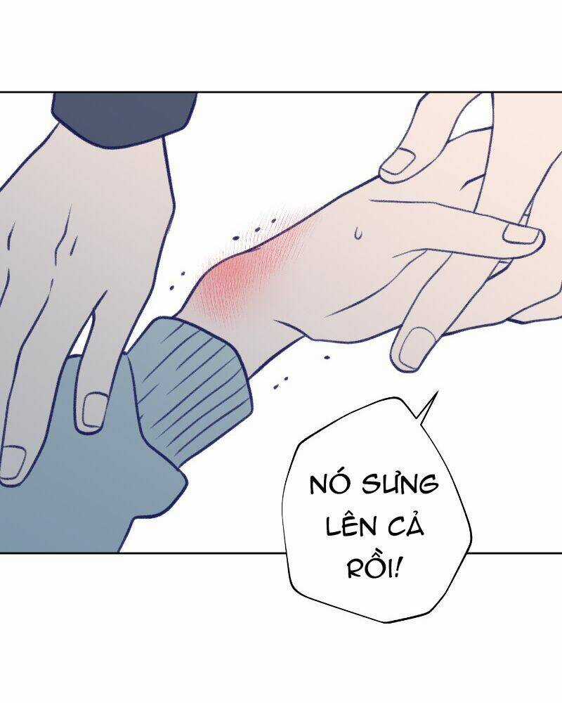 Nice To Meet You - Chapter 39 - Trang 60