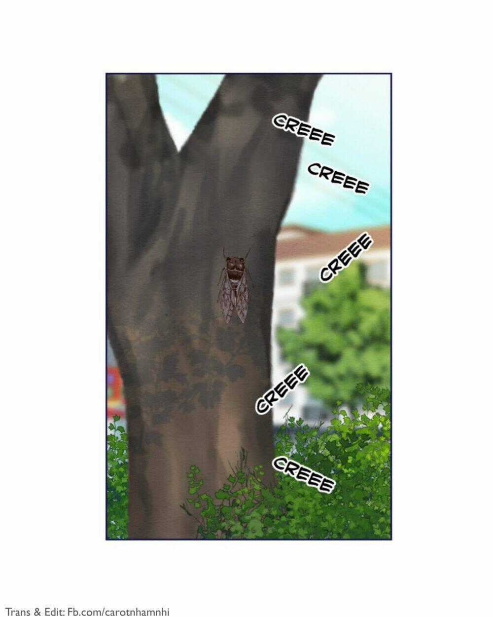 Nice To Meet You - Chapter 43 - Trang 2