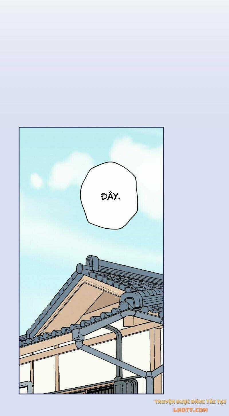 Nice To Meet You - Chapter 47 - Trang 2