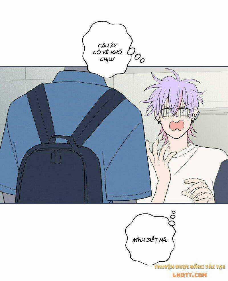 Nice To Meet You - Chapter 50 - Trang 7