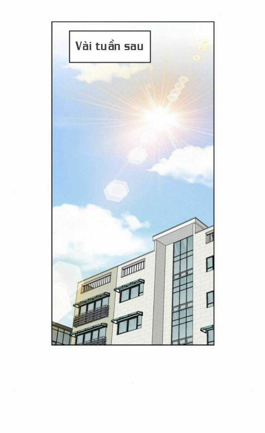 Nice To Meet You - Chapter 64 - Trang 2